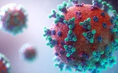 New Class of Life Found Living Inside Humans